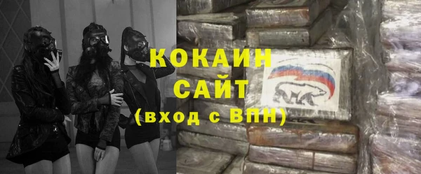 кокс Алексин