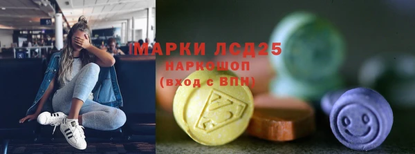гидра Рославль