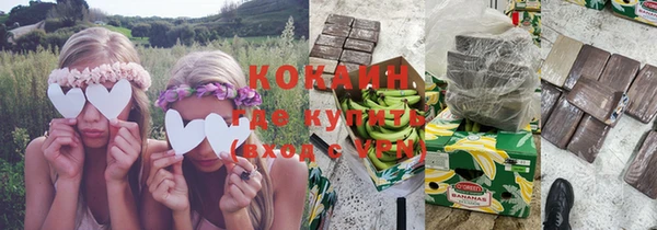 ешки Алзамай