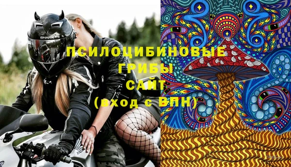 кокс Алексин