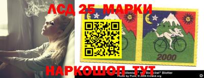 крисы Абакан