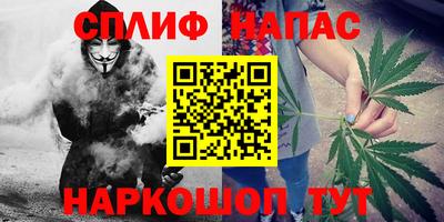 крисы Абакан