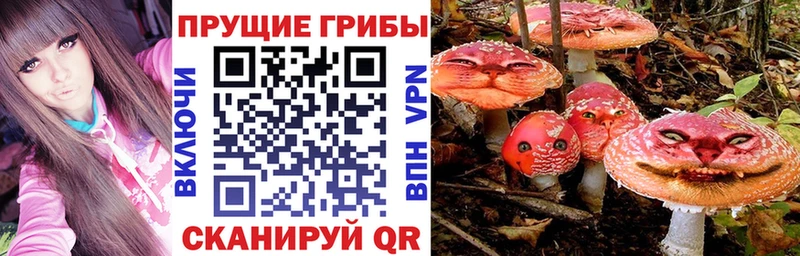 Псилоцибиновые грибы мухоморы  Осинники 