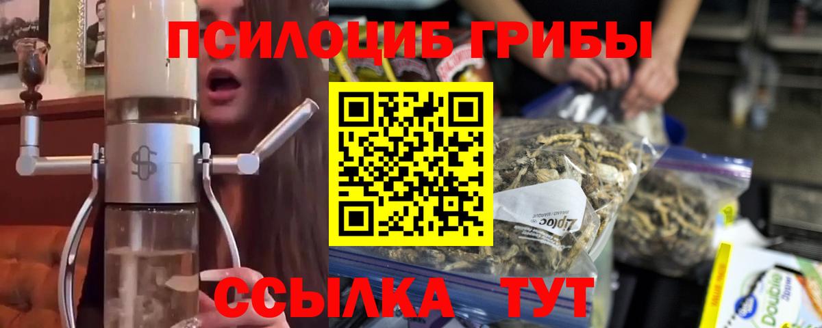 Псилоцибиновые грибы мицелий Осинники