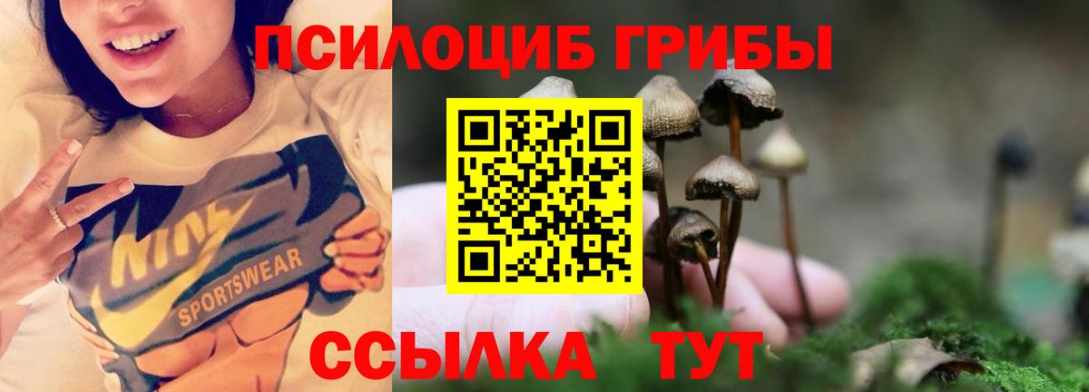 цена наркотик  Галлюциногенные грибы ЛСД  Вход с VPN  Осинники 