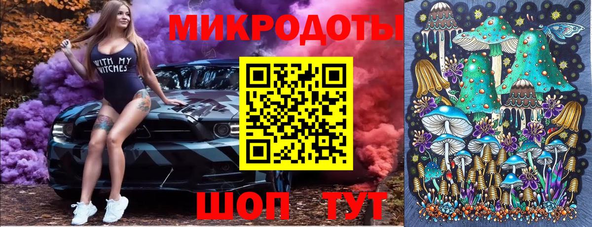 Галлюциногенные грибы Psilocybine cubensis  Вход с VPN  Псилоцибиновые грибы прущие грибы  Осинники 
