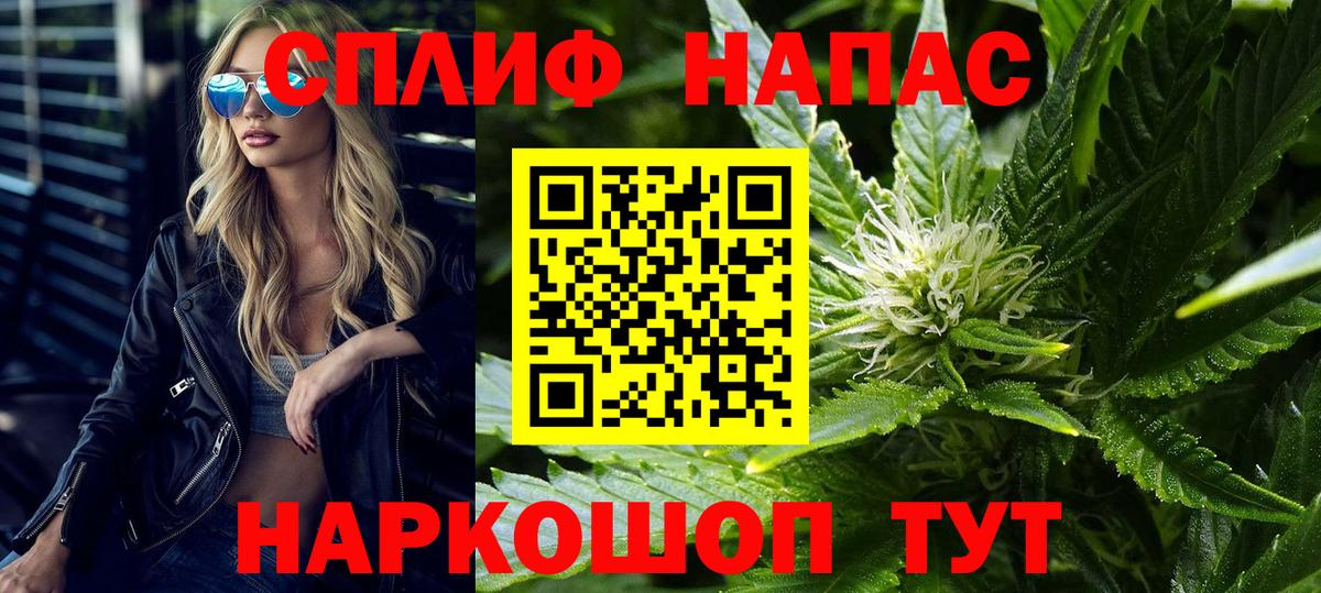 Бошки Шишки ГИДРОПОН Осинники